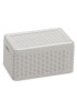 CAIXA ARRUMAÇAO 380 DECORA C/TAMPA BRANCA 20X30X15CM PLST