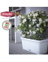 FLOREIRA 75352 NATURAL RET. ANTRACITE 80X40X34CM PLST