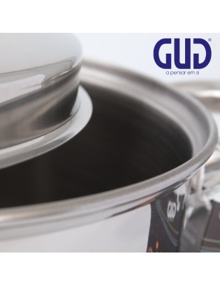 CAÇAROLA GUD EPIC 22X9CM INOX INDUÇAO