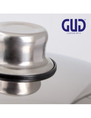 PANELA GUD EPIC 22X14CM INOX INDUÇAO