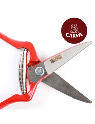 TESOURA VINDIMA CARPA 02A19S S/SERRILHA