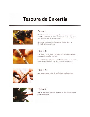 TESOURA CARPA 49J21 ENXERTIA 21CM