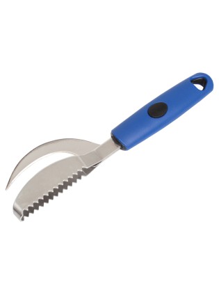 ESCAMADOR PEIXE GUD + CORTADOR 23CM INOX C/CABO PLST SORT