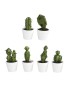 VASO 039756 CATO ARTIFICIAL 12-15CM SORTIDO