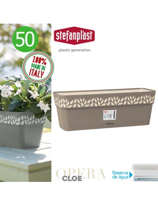 FLOREIRA 94414 CLOE TORTORA...