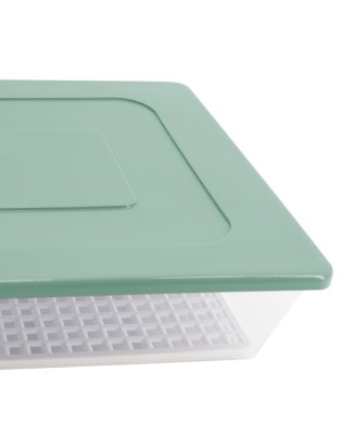 TABULEIRO CARNE 38X28 C/TAMPA E REDE  REF:13.240B