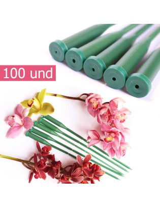 PE ORQUIDEA C/TAMPA 100UND...
