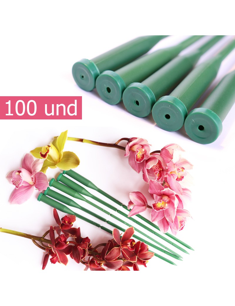 PE ORQUIDEA C/TAMPA 100UND  31,5CM PLST
