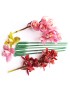 PE ORQUIDEA C/TAMPA 100UND  31,5CM PLST