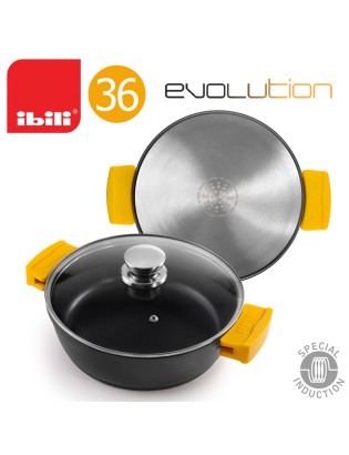 CAÇAROLA IBILI 461036...