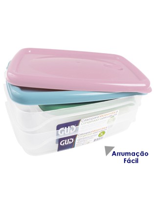 CAIXA MICROONDAS GUD RETANGULAR 5L 29,5X21,5X11,7CM SORTIDA