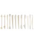 CONJ. 12 ESTECAS IBILI 752900  PARA MODELAR 14CM