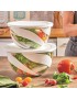 SALADEIRA SNIPS 010075 GO GREEN 5L C/TAMPA TRANSP/BRANCO