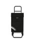 CARRO COMPRAS 6009G2 PO C-1 POLIESTER 2RODAS 48L PRETO