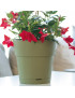 VASO 68152 ETHICA VERDE OLIVA 30X29CM PLST