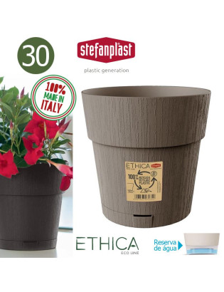 VASO 68166 ETHICA TORTORA...