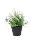 VASO 392592 PRETO LAVANDA ARTIFICIAL MIX 20CM SORTIDO
