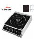 PLACA INDUÇAO LACOR 69337 PROFISSIONAL 2700W 30X39X10CM