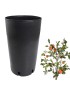 VASO JARDIM 2000106 PL CITRINOS 8L Ø19X31,5CM PLST