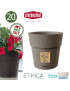 VASO 68069 ETHICA TORTORA 20X19CM PLST