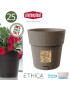 VASO 68116 ETHICA TORTORA 25X25CM PLST