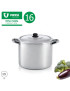 NORMAL PANELA 16 ALUM. 2 L PEGA BAQ  ASA INOX