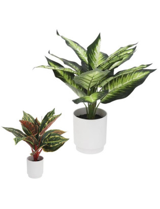 VASO 577234 PLANTA...