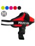 PEITORAL ZOO 51165 T.M 30X21CM CORES SORTIDAS