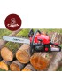 MOTOSSERRA CARPA MTS58 55.CC