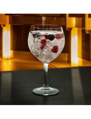 CALICE COMBINADO PARTY P/GIN 62CL CONJ.6