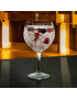 CALICE COMBINADO PARTY P/GIN 62CL CONJ.6