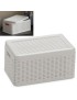 CAIXA ARRUMAÇAO 380 DECORA C/TAMPA BRANCA 20X30X15CM PLST