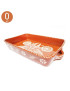 ASSADEIRA BARRO REGIONAL RETANGULAR Nº0  22,5X16,5CM