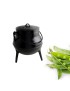 PANELA 3 PERNAS 1/4L FERRO FUNDIDO