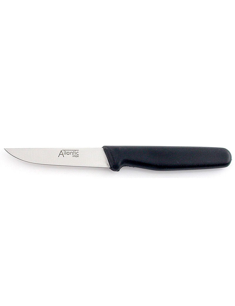 FACA 7810.3635.0912 ATLANTIC C/PLASTICO FOSCA B