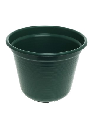 VASO 25 VERDE REF 250 CN